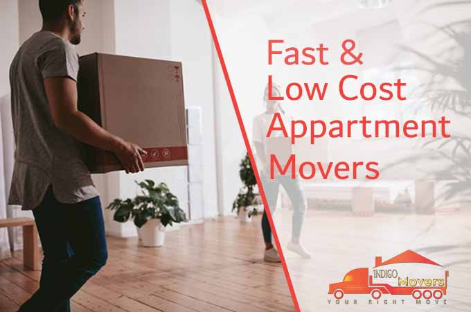 Efficient Apartment Movers in Dubai - Indigo Movers